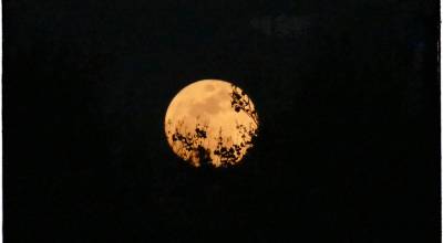 Photo by Bob Lampert/ Sequim resident Bob Lampert captured this view of the April 1 full moon, which was a Full Pink Moon  a term related not to the orbs color, but rather to the time of year: early spring.