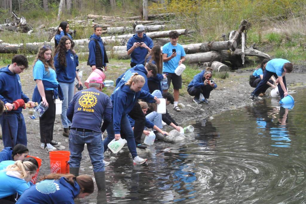 Sequim Gazette photo by Matthew Nash/ Interact Club members fill jugs and cartons to carry hundreds of pounds of water from the Dungeness River to Sequim Middle School as part of their annual Walk for Water fundraiser to purchase and build a well through Rotary International.