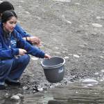Sequim Gazette photo by Matthew Nash/ Kaylee Torres readies her bucket to fill with water from the Dungeness River for the Walk for Water event.