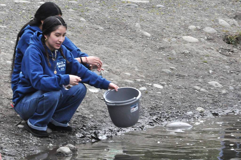 Sequim Gazette photo by Matthew Nash/ Kaylee Torres readies her bucket to fill with water from the Dungeness River for the Walk for Water event.