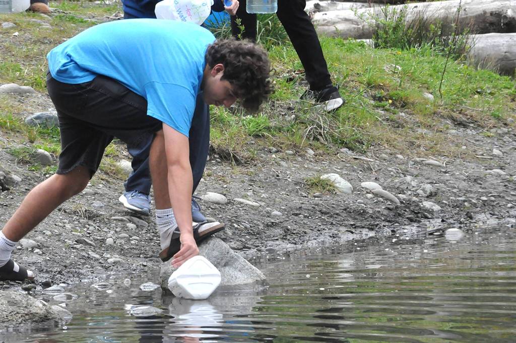Sequim Gazette photo by Matthew Nash/ Nico Musso fills an empty milk carton at the Dungeness River for the Walk for Water event.