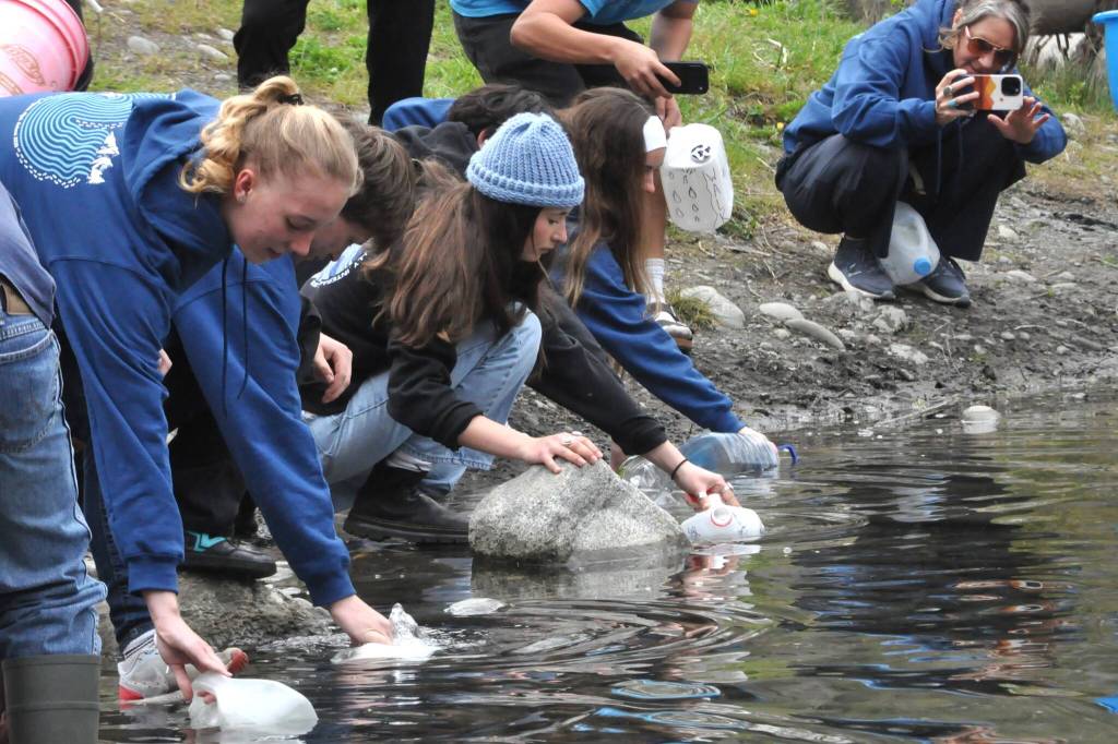 Sequim Gazette photo by Matthew Nash/ Interact Club members fill jugs and cartons to carry hundreds of pounds of water from the Dungeness River to Sequim Middle School as part of their annual Walk for Water fundraiser to purchase and build a well through Rotary International.