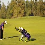 Sequim Gazette photo by Matthew Nash/