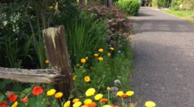 Photo courtesy Cathy Wagner
The first guided walking tour of the season at Woodcock Demonstration Garden in Sequim will take place at 10 a.m. on Thursday, May 7.