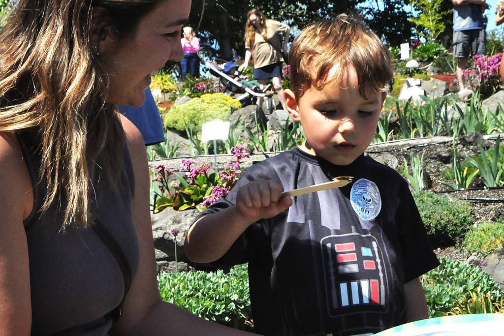Sequim Gazette photo by Matthew Nash/