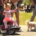 Sequim Gazette photo by Matthew Nash/ Cora Bond, 2, waves as she rides along dressed as a deer. She won second place for the All about Sequim category in the Kids Parade as Deerly Loved Sequim.