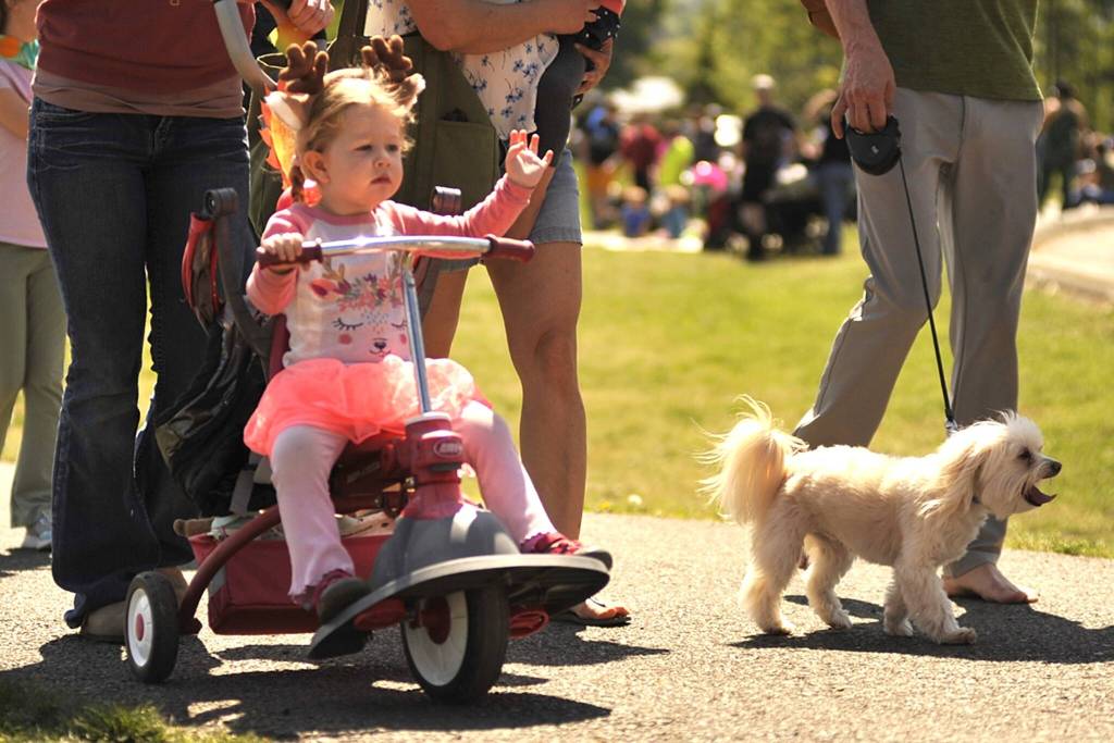 Sequim Gazette photo by Matthew Nash/ Cora Bond, 2, waves as she rides along dressed as a deer. She won second place for the All about Sequim category in the Kids Parade as Deerly Loved Sequim.