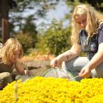 Sisters Bevyn and Payton LaTourette release butterflies in Sequim Botanical Garden on Saturday during the Family Fun Days. Dungeness Kids Co. sold kits for families to grow caterpillars and release the painted lady butterflies in the garden.