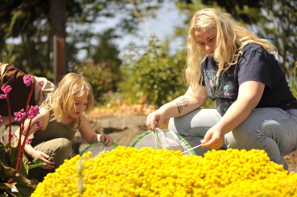 Sisters Bevyn and Payton LaTourette release butterflies in Sequim Botanical Garden on Saturday during the Family Fun Days. Dungeness Kids Co. sold kits for families to grow caterpillars and release the painted lady butterflies in the garden.