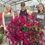 Agriculture Science students, from left, Savannah Weekly, Jordan Rogers and Elizabeth Grimes were three of many students to help plant and grow 120 flower baskets for the City of Sequim. Theyll go out soon across the city.