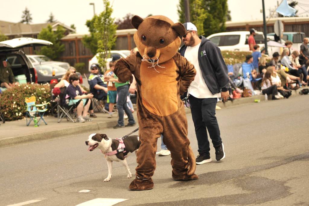 Sequim Gazette photo by Matthew Nash/