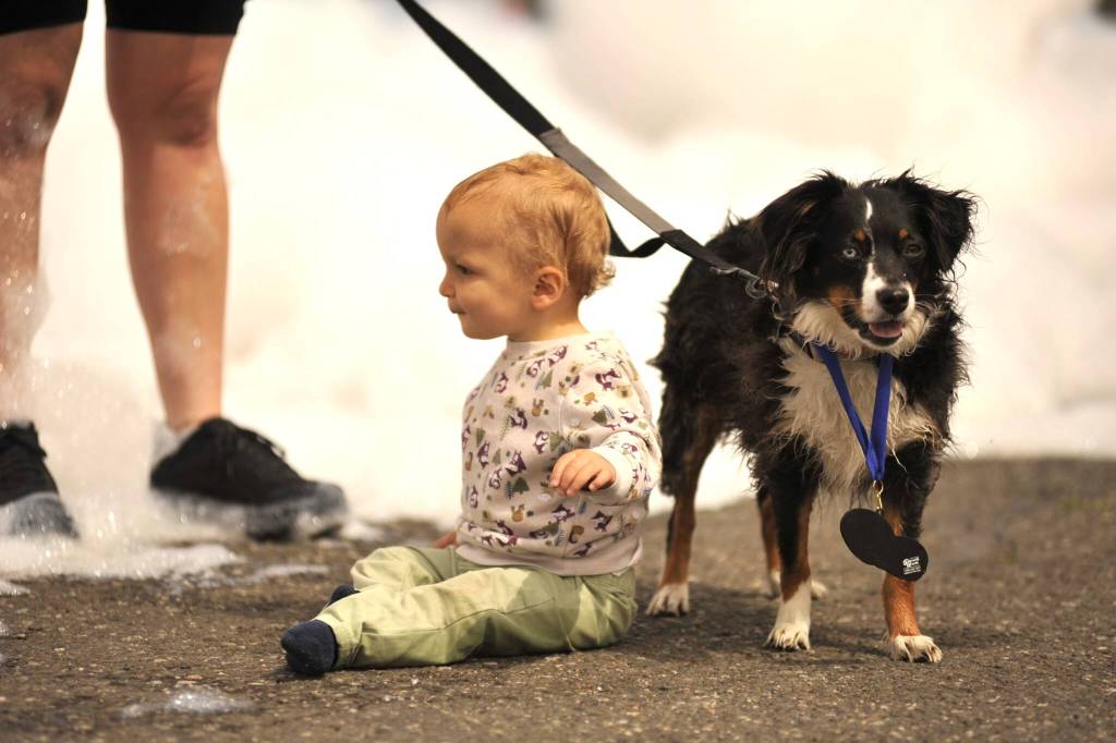 Sequim Gazette photo by Matthew Nash/