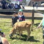 Sequim Gazette photo by Matthew Nash/ Harper and Cole Lilly stand for a photo by their dad Ross Lilly as Tyler McCarthy stands with Gigi the Jersey cow during Dungeness Valley Creamerys 20th anniversary celebration. The Lilly family was visiting from California to see their aunt and uncle who live in Sequim.