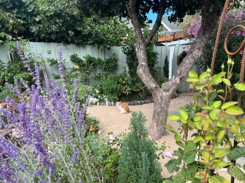 The Colorful Oasis.