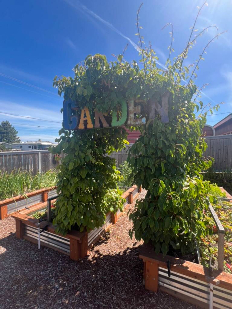 PJs Garden.