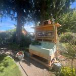 Photos courtesy Clallam County Master Gardeners/ Story Gardens.