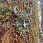 Photos courtesy Clallam County Master Gardeners 
Take a Walk on the Wild Side.