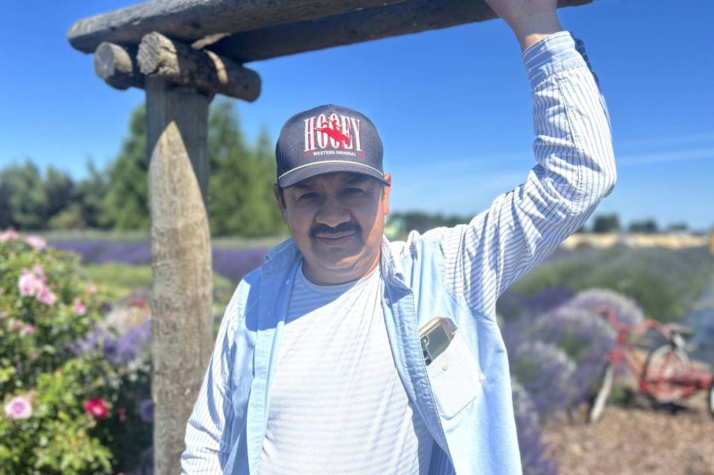 Sequim Gazette photo by Matthew Nash/
Victor Gonzalez will celebrate two lavender festivals in two weekends. The first will be at the grand opening of White Barn and Blooms Lavender Farm in Ohio July 11-12 where hes established a new distribution center. The second will be at his Sequim farm Victors Lavender July 17-19.