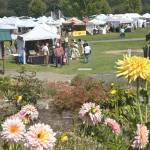 Sequim Gazette file photo by Matthew Nash/ Lavender Festival in the Park, pictured in 2025 from the Sequim Botanical Garden, returns this year July 17-19 in Carrie Blake Community Park. There will be 200 vendors, 13 food vendors, live music, and more all three days with free parking on nearby streets.
