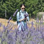 Sequim Gazette photo by Matthew Nash
Grace Kim of Lynwood makes a bundle of lavender at Lavender Connection on July 12. It was her first time visiting lavender farms. The farm is one of many open during Sequim Lavender Weekend and through the summer.