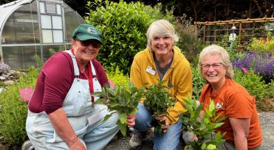 Photo courtesy Clallam County Master Gardeners
Master Gardeners Pam Pace, Diane Young, and Stephany Neuschaefer, shown here in the Woodcock Herb Garden, will present A Cooks Garden: Growing Culinary Herbs, Aromatics, and Specialty Vegetables on Saturday, Aug. 1 as part of free Digging Deeper events.