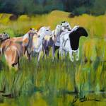 Submitted photo/ What Are They All Looking At? by Jean Glaser.