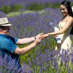 Sequim Gazette photo by Tom Buscher 
Mark Hoppis and Jannelyn Cinco, both of Kingston, pose among the lavender rows at Purple Haze Lavender Farm on July 18 after becoming engaged at the farm earlier that afternoon. The couple chose the farm for their engagement because of their shared love of lavender and flowers.
