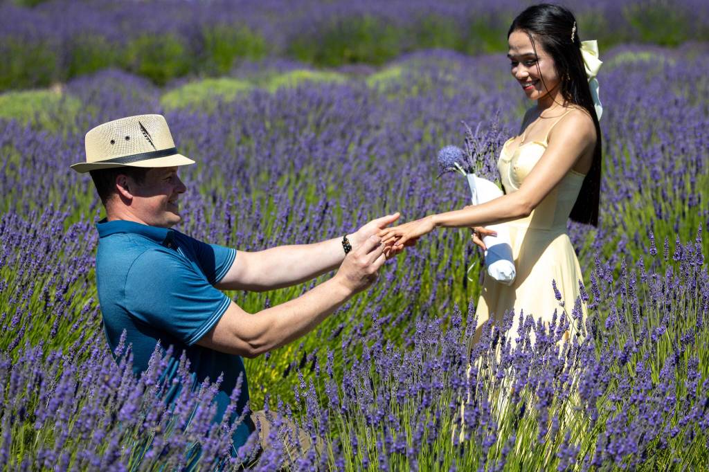 Sequim Gazette photo by Tom Buscher 
Mark Hoppis and Jannelyn Cinco, both of Kingston, pose among the lavender rows at Purple Haze Lavender Farm on July 18 after becoming engaged at the farm earlier that afternoon. The couple chose the farm for their engagement because of their shared love of lavender and flowers.
