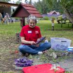 Dana Dawson assembles lavender wreaths while volunteering for Welfare for Animals Guild (WAG) at Purple Haze Lavender Farm. Proceeds from the wreath sales helped support dogs cared for by the Sequim rescue.
Sequim Gazette photo by Tom Buscher