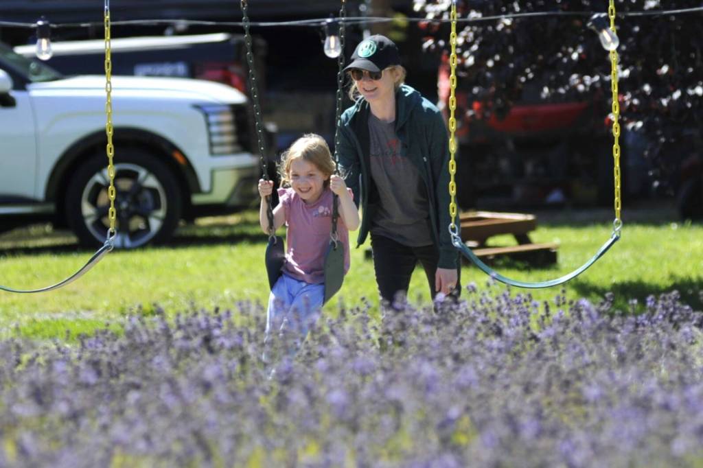 Sequim Gazette photo by Matthew Nash 
Dani Berg of Sequim pushes daughter Aurora, 4, in a swing at Lit Lavender on July 19. Berg said they recently moved to the area and visited a few farms and Sequim Lavender Festival in the Park. Aurora said she thinks lavender smells really good.