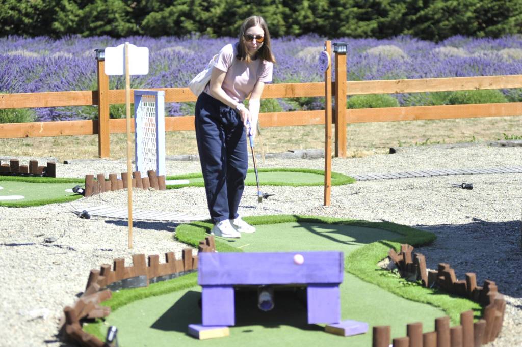 Sequim Gazette photo by Matthew Nash 
Maristella Donato of Ballard plays mini-golf at Lit Lavender on July 19 while visiting farms with Lukas Comstock and Isabella Jennings. Comstock said they like the idea of supporting small businesses and theyre all fans of lavender. It was the trios first time visiting the farm, they said.