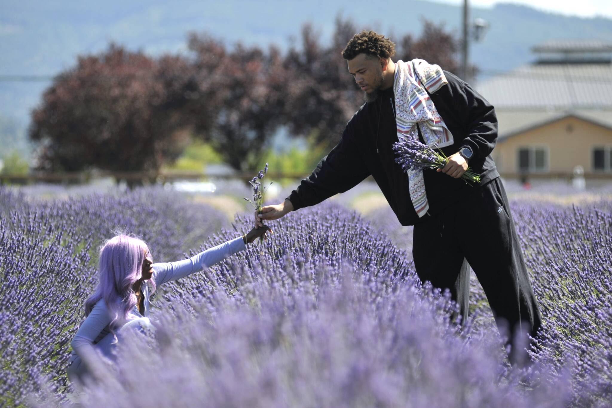 The appeal of lavender continues 30 years later | Sequim Gazette