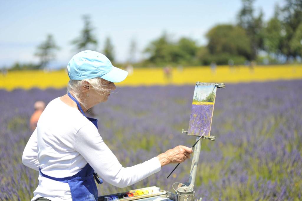 Linda Tilley of Port Townsend paints a lavender field at Olympic Bluffs Cidery & Lavender Farm on July 18 as one of several artists participating in the Olympic Peninsula Art Associations first Sequim Plein Aire Paint Out.
