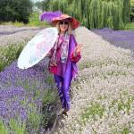Photo courtesy Kathryn Wilson/
Kathryn Wilson, who has lived in Sequim since 2013 after working and traveling all around the world for 40 years, said she loves the Sequim Lavender Festival and makes an annual effort to dress up in lavender colors to join the celebration.