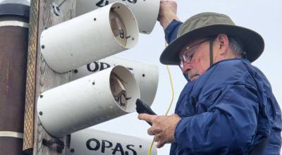 Olympic Peninsula Audubon Society (OPAS) volunteer Dow Lambert uses an app on his phone to check the nests of purple martins in nest boxes atop poles.
Photo by John Gussman