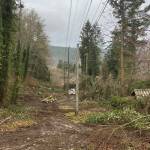 Photo courtesy Clallam County PUD/ This photo was taken after Clallam County PUD crews cleared vegetation that threatened power lines.