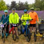 From left, Margaret Swigert of Sequim; Katherine Lewis of Kentucky; and Donna Muhich and her husband, Mike Muhich, both of Seabeck, pose by a lavender field at Jardin du Soleil with their bicycles shortly after 9 a.m. Saturday, Aug. 1. The foursome braved the drizzly weather to participate in Tour de Lavender, an annual event benefiting the Peninsula Trails Coalition and the Olympic Discovery Trail.