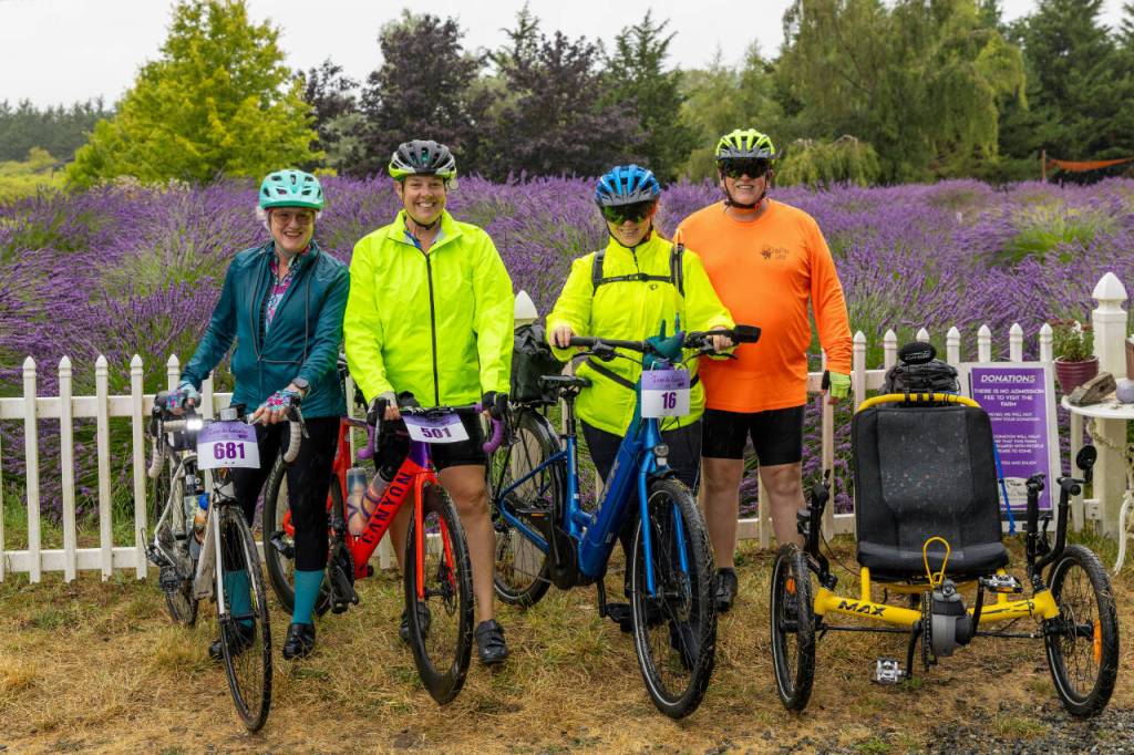 From left, Margaret Swigert of Sequim; Katherine Lewis of Kentucky; and Donna Muhich and her husband, Mike Muhich, both of Seabeck, pose by a lavender field at Jardin du Soleil with their bicycles shortly after 9 a.m. Saturday, Aug. 1. The foursome braved the drizzly weather to participate in Tour de Lavender, an annual event benefiting the Peninsula Trails Coalition and the Olympic Discovery Trail.