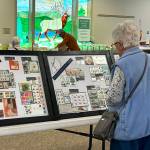 Sequim Gazette photos by Matthew Nash 
June Geovin of Rochester admires exhibits from Strait Stamp Show club members. She traveled with her husband Dennis, an avid stamp collector, to the Sequim show on Aug. 8.