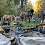 Volunteer packer Harold Wiese organizes gear at the Hoh River Trail stock corral on Aug. 5 as trail-maintenance equipment, pack saddles and panniers are prepared for loading. Horses and mules would carry the tools, camping gear and supplies nearly 10 miles into Olympic National Park for a five-day Gray Wolf Trail Crew project on the Hoh Lake Trail.