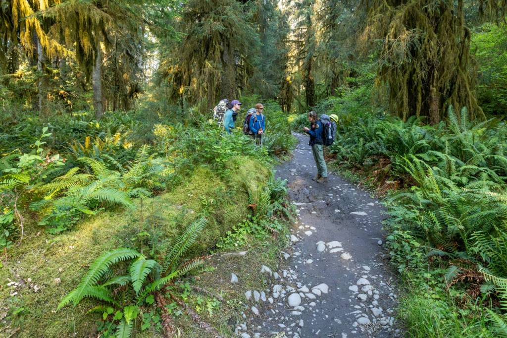 Sequim Gazette photos by Tom Buscher/ Gray Wolf Trail Crew leader Rebecca Wanagel, right, speaks with hikers along the Hoh Trail on Aug. 5 about an approaching pack string and how to safely allow the horses and mules to pass. Wanagel advised the hikers to stop, remain visible and follow the packers directions as the animals moved along the trail.