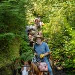 Sequim Gazette photos by Tom Buscher
Volunteer packer Harold Wiese leads a string of loaded horses and mules along the Hoh River Trail in Olympic National Park on Wednesday, Aug. 5, while fellow packers Rachael Taylor-Tuller and Matthew Tuller travel near the rear of the line. The animals carried equipment and supplies to the Gray Wolf Trail Crews campsite about 9.5 miles up the trail for a five-day maintenance project on the Hoh Lake Trail.