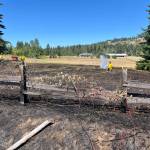 Photos courtesy of Clallam County Fire District 3
Firefighters with Clallam County Fire District 3 responded to a brush fire at 12:30 p.m. Saturday, Aug. 8 on the 2000 block of Happy Valley Road. No injuries or damage to nearby structures were reported, but a full burn ban is now in effect with local conditions dry and hot, firefighters said.